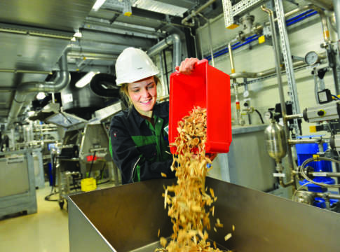 Bioraffineria lignocellulosica, chiude il cerchio della biomassa biomassa