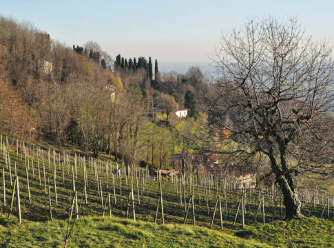 Via Imu dai terreni di Cd e Iap e Irap per le attività agricole Imu