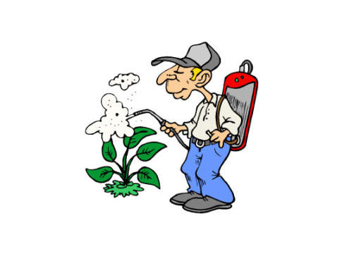 Gli insostenibili ritardi del Pan Pan