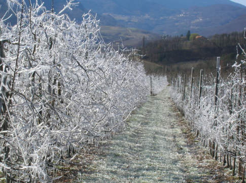 Agevolazioni per i nuovi assicurati assicurazioni