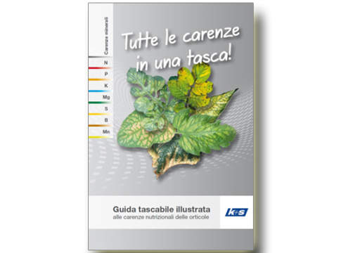 La nuova guida per le orticole di K+S Italia orticole