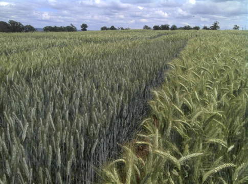 SICASOV, con i costitutori, per il progresso dell’agricoltura italiana costitutori