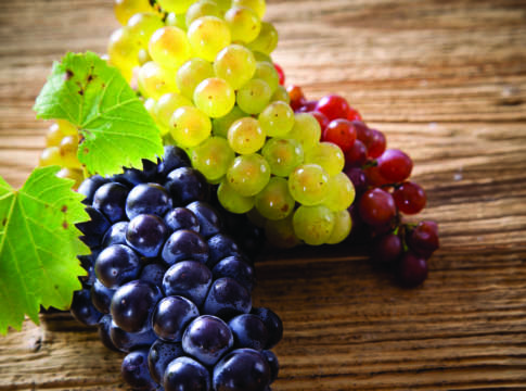 Uva da tavola, export in ripresa dopo l’annus horribilis Export