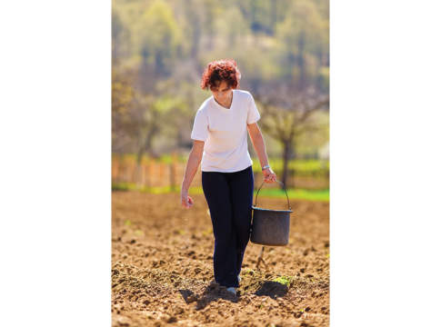 Le aliquote contributive per l’anno 2016 aliquote