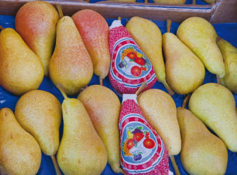 Ortofrutta, bene l’export nel primo semestre del 2025 pere