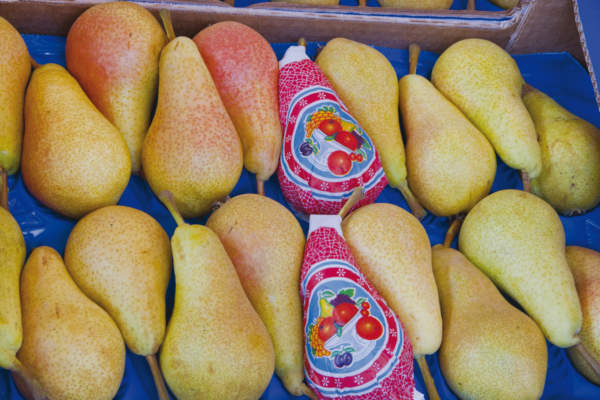 Ortofrutta, bene l’export nel primo semestre del 2025