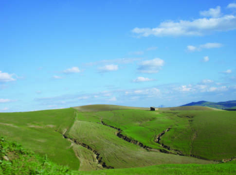 Norme più sostenibili per la condizionalità 2016 Condizionalità