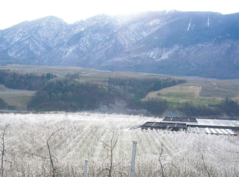 Copertura gelo-brina anche senza Piano individuale gelo