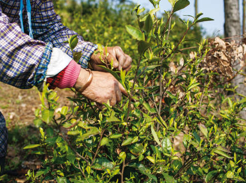 Dimissioni e risoluzioni consensuali solo via web Dimissioni