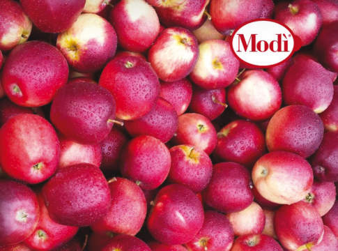 Modì sempre più internazionale Modì