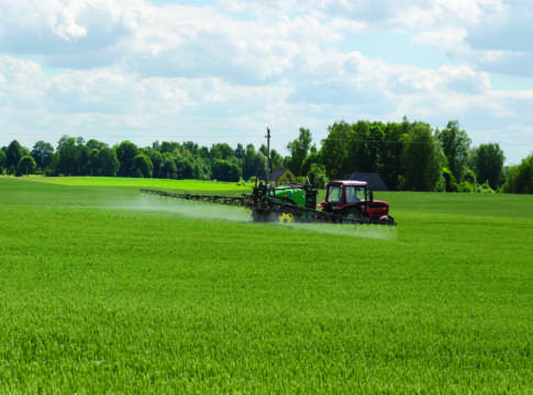 Difesa cereali, l’approccio integrato impone più conoscenza cereali