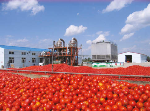 pomodoro