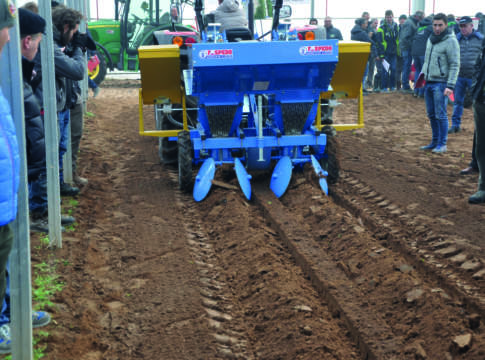 L’orticoltura scende in campo orticoltura