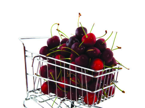 Bollino di qualità del lavoro, questo sconosciuto qualità