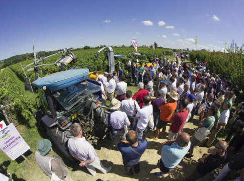 Nova nella tana del Prosecco nova