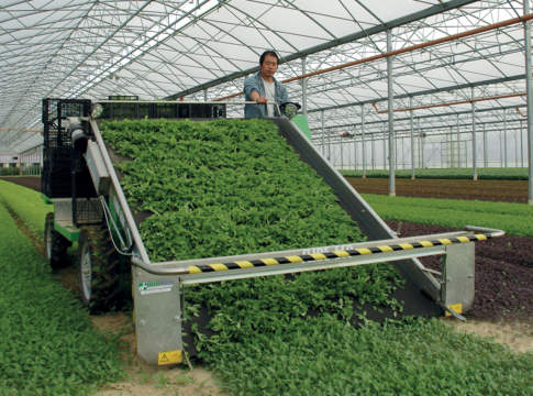 L’evoluzione elettrica elettrica