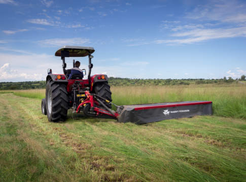 Globalizzazione? Sì, grazie globalizzazione