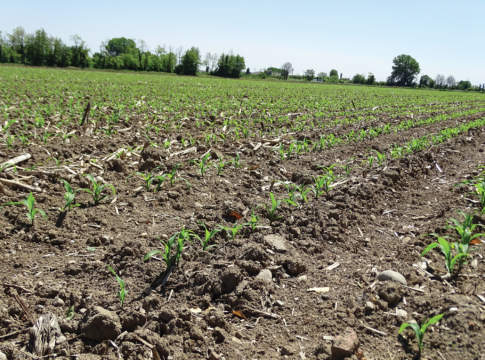 CombiMais passa alla fase 3.0 CombiMais