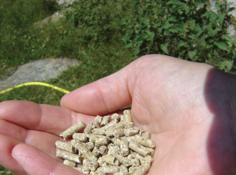 Assalzoo, 1 milione di t/anno di cibo inutilizzato diventerà mangime entro il 2020 assalzoo