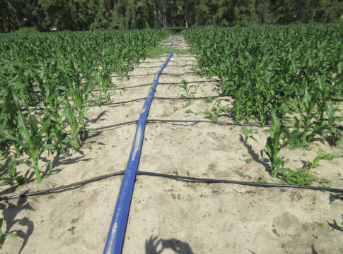 Acqua sottosuperficiale, un’alternativa interessante acqua