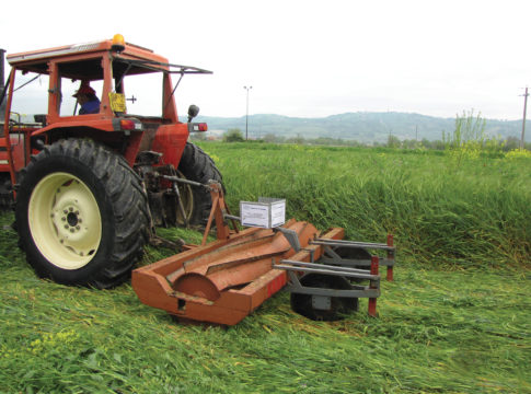 Orticoltura conservativa in Italia conservativa