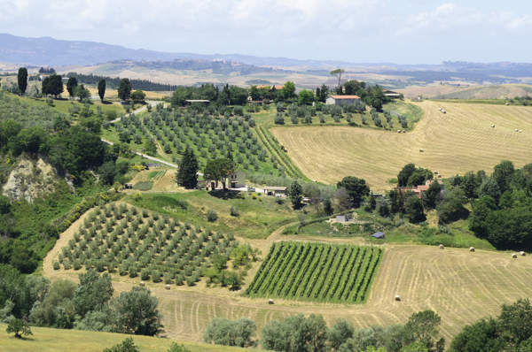 toscana
