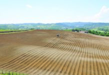 Basilicata, 20 milioni per gli investimenti nelle aziende agricole Basilicata