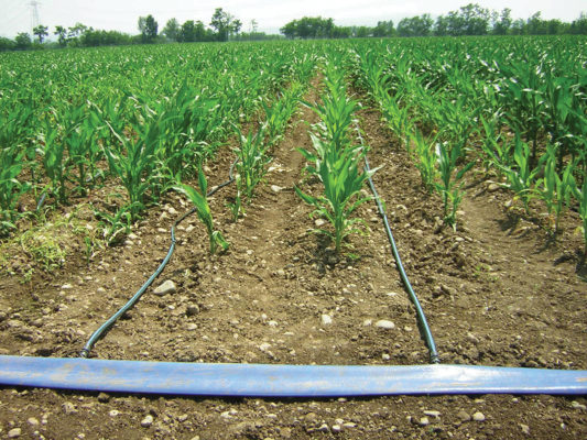 microirrigazione