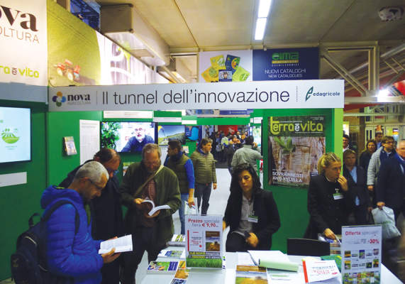 innovazione