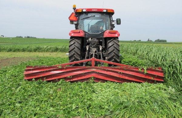 sequestro di carbonio