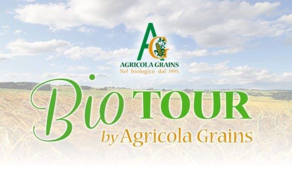 agricola grains