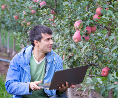 Prevedere Il clima e prevenire le malattie delle piante