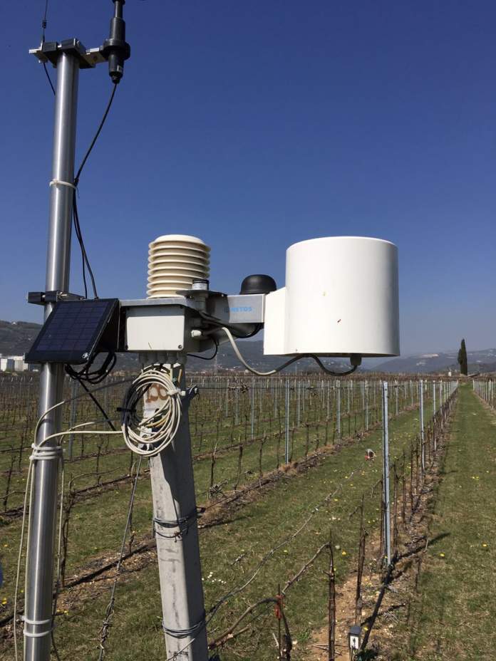 Effetto gelo sui prezzi dell'ortofrutta climate change