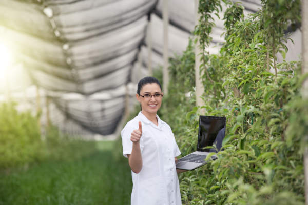Previsione dei prezzi e gestione del rischio sul mercato ortofrutticolo
