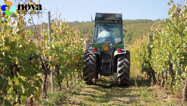 nova_syngenta_difesa_delle_colture