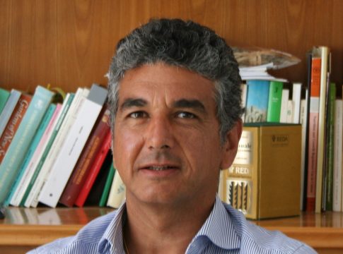 De Mastro: «Ci vuole un piano di rilancio per il grano duro» grano duro