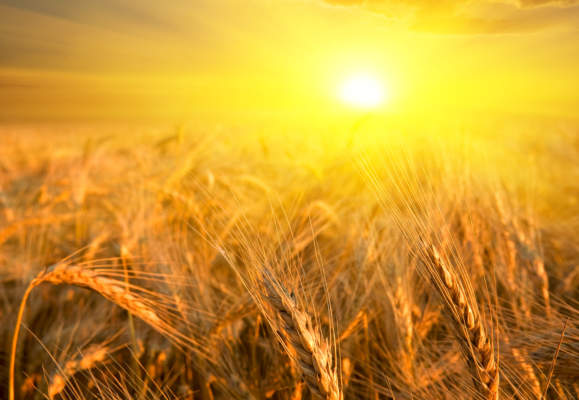 climate change clima