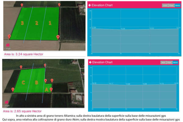 cereali biologici terra e vita