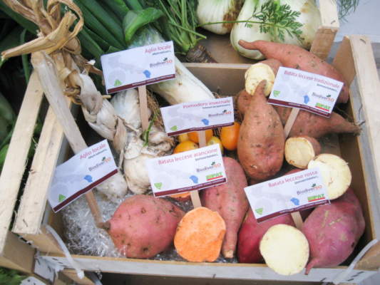 biodiverso terra e vita