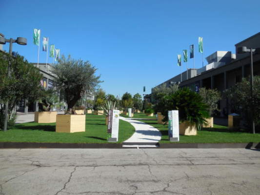 flormart terra e vita