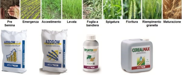 azoslow np ilsa terra e vita