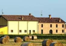 Bonifiche ferraresi acquisisce il 41,19% di Sis Bonifiche ferraresi