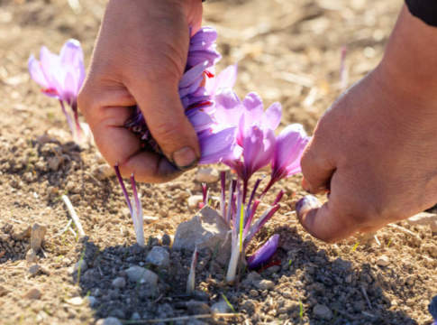 Affitto, l’alta qualità delle produzioni fa impennare la domanda affitto