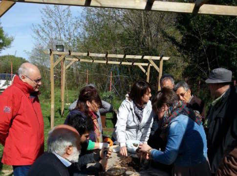 Metodo biodinamico, per ripensare il modello produttivo