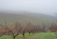 Prepariamo il terreno per il risveglio di primavera terreno