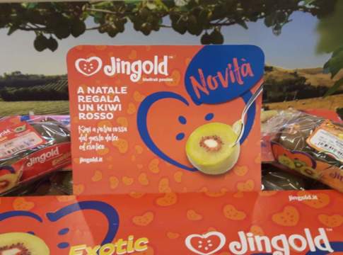 Il consorzio Kiwigold ha lanciato il nuovo kiwi a polpa rossa kiwi