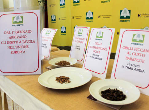 Insetti ed etichetta pasta, grandi novità sulle tavole degli italiani