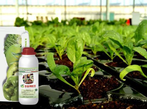 Fomet sostiene la sostanza organica sostanza organica fertilizzante fomet