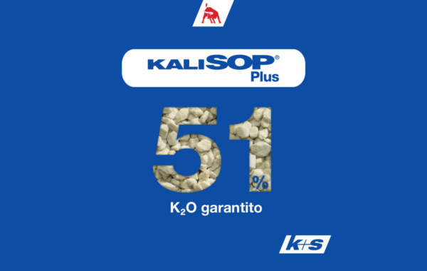 kalisop plus k+s