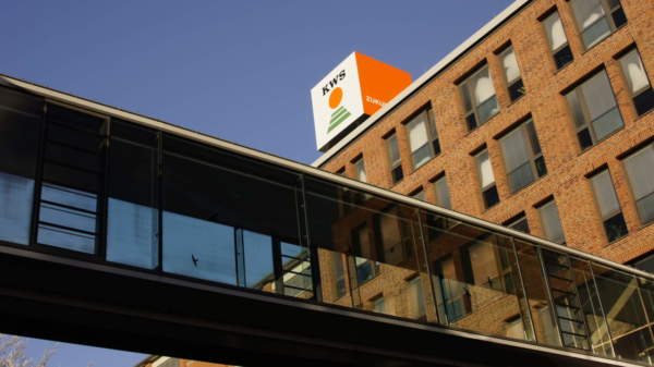 fatturato gruppo kws